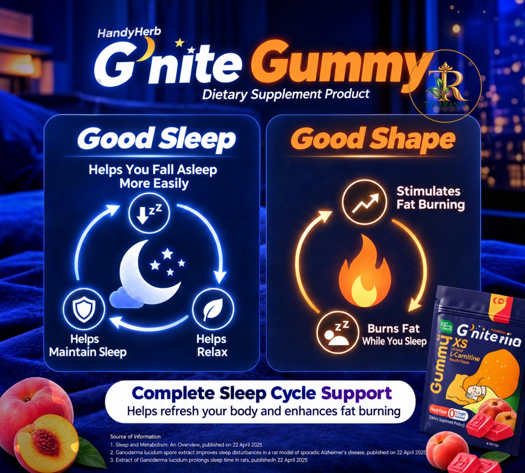 Thai Ranee HandyHerb G'nite XS dietary supplement gummy infographic showing sleep and fat metabolism benefits.