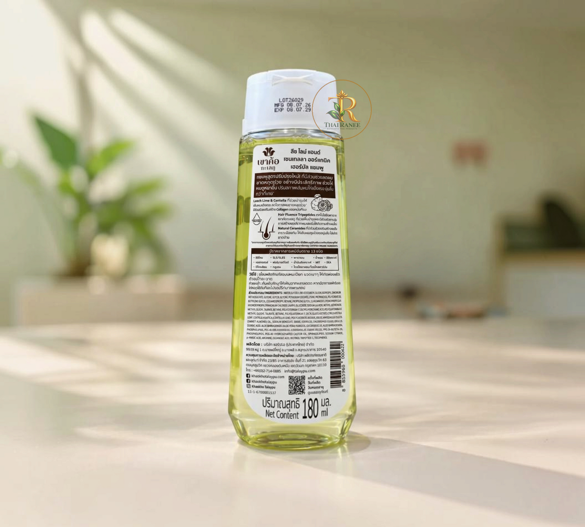 Thai Ranee Khaokho Talaypu organic herbal shampoo bottle for hair loss with bergamot and centella extract